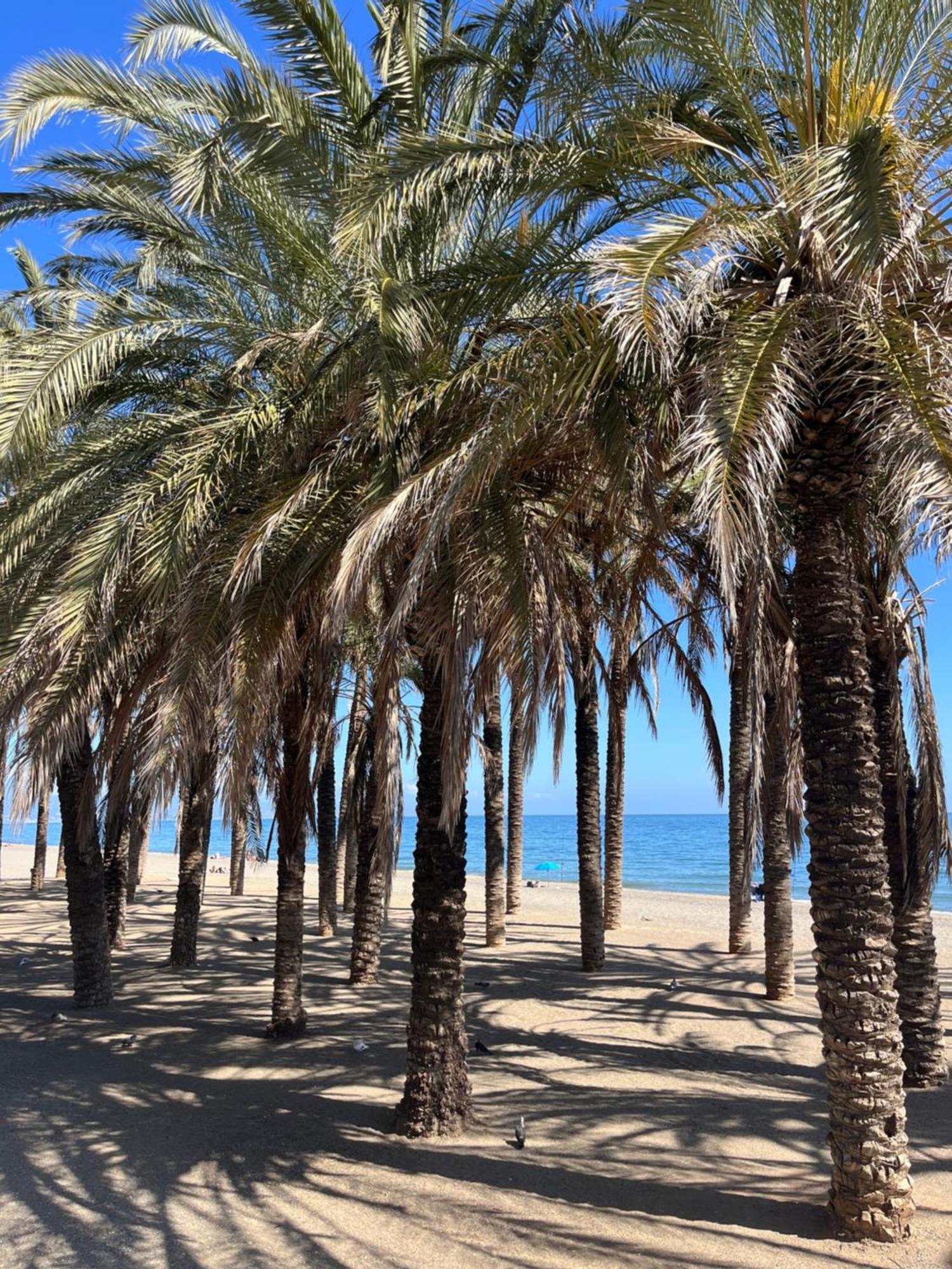 Apartamento Azul Torremolinos Eksteriør bilde